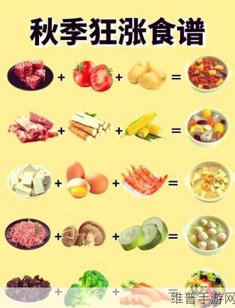 玛娜希斯回响菌菇汤类食谱大揭秘