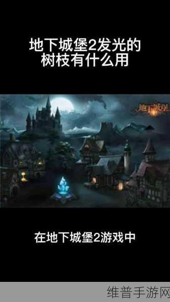 地下城堡2深度攻略,揭秘发光的树枝的奇妙用途