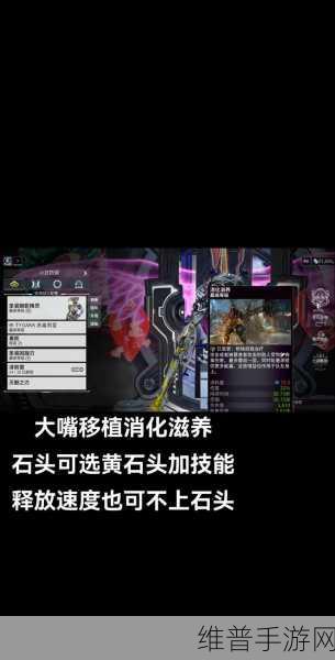 Warframe星际战甲鱼骨PMOD配置与配卡深度攻略