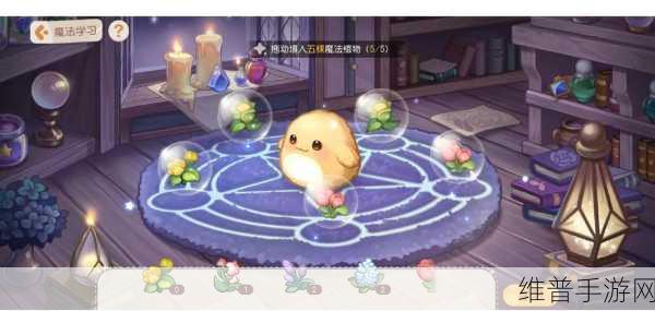 奥比岛满月节魔法植物大揭秘