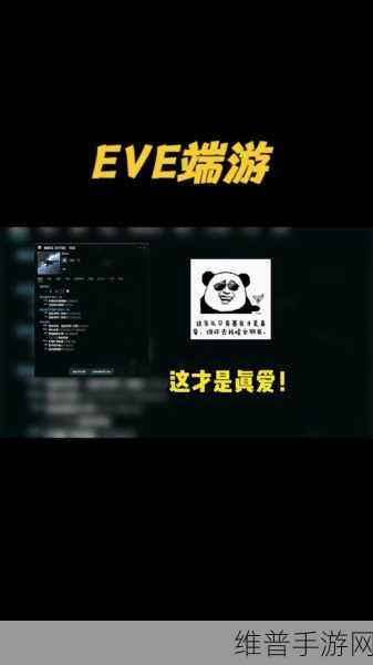 EVE手游攻略，小马与响尾蛇的深度对比