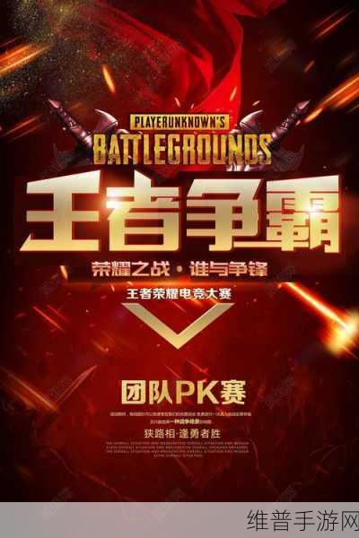 西游萌萌竞技争霸深度攻略，PK之王揭秘与资源管理策略要点