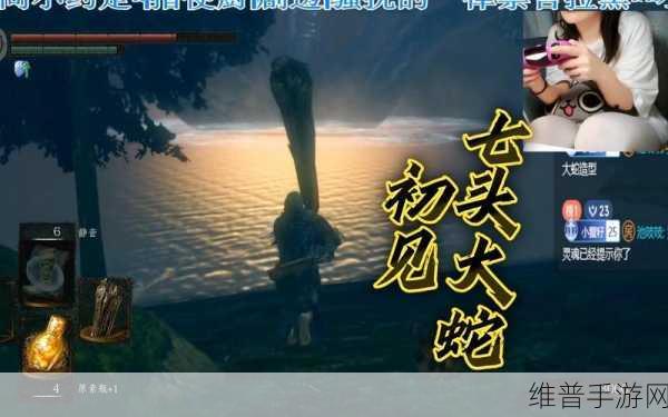 黑暗之魂重制版夹缝森林敌人全解析