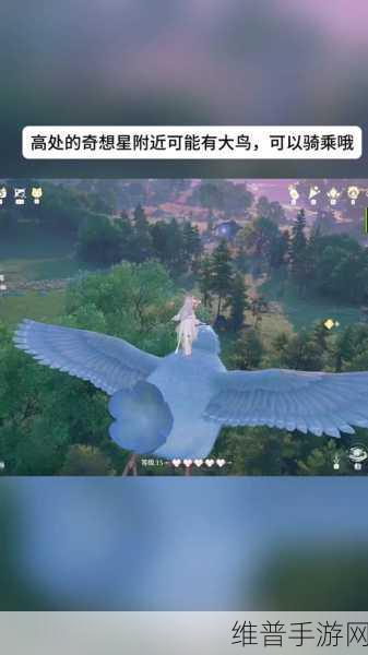 无限暖暖，唤醒小鸟的神奇秘籍