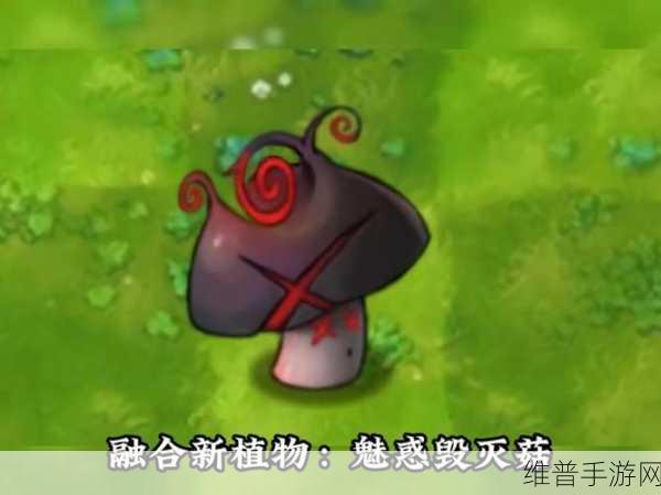 植物大战僵尸，深度解析毁灭菇的战术运用与数据揭秘