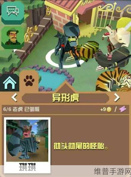 疯狂动物园老虎获取秘籍大公开