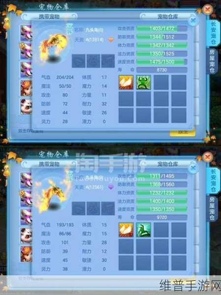 神武魔盘丝全方位深度解析与攻略指南