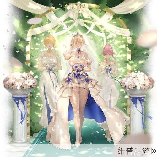 战舰少女R声望怎么样？全面解析与攻略指南