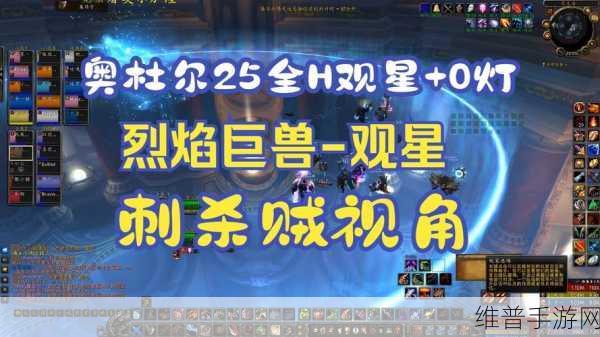 魔兽世界WLK阿尔法本T没拉住怪，反手把治疗T了？深度解析与攻略