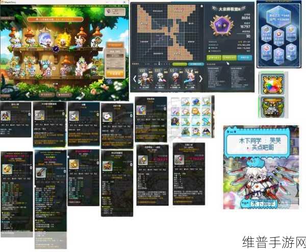 冒险岛手游攻略，深入探索美妙梦想家版本