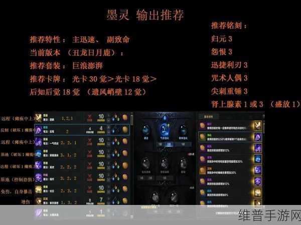 命运方舟墨灵攻略，深度解析女巫技能加点策略