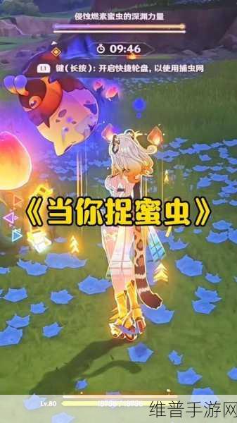 原神寻溯蜜虫之宝第四天详尽攻略指南