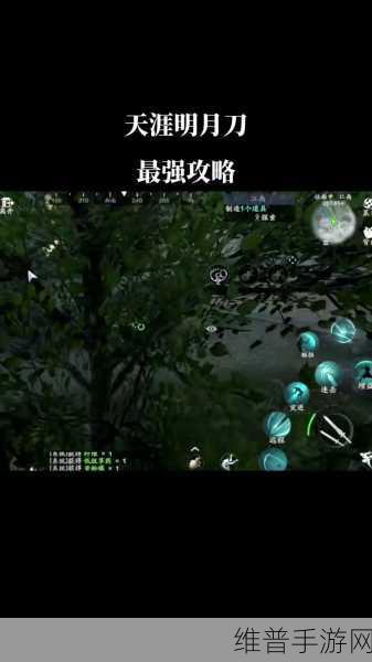 天涯明月刀手游玩家热议焦点，传音蛊神秘位置全面揭秘，它究竟藏匿于何方？