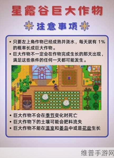 星露谷物语，轻松获取甜菜的全攻略秘籍