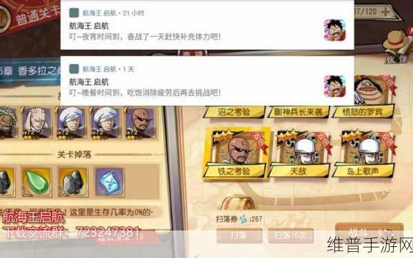 航海王启航火队阵容搭配深度解析与推荐