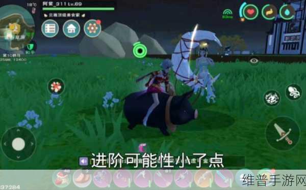 创造与魔法深度攻略，揭秘黑猪月饼食量之谜
