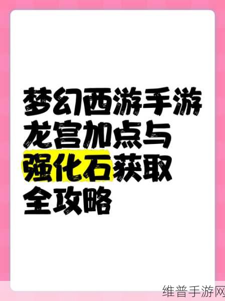 梦幻西游手游 69 天宫加点秘籍大揭秘