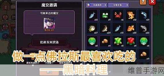 我的勇者，全面解析魔女好感度提升秘籍