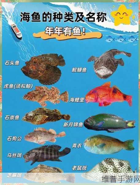 泰拉瑞亚大鲨鱼深度解析,探索海洋霸主的奥秘