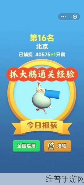 看你怎么秀，隐藏大佬通关秘籍大揭秘