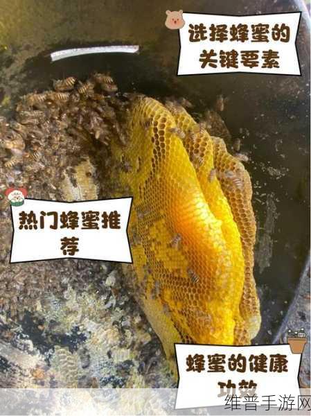 烟雨江湖深度攻略，蜂蜜怎么得？蜂蜜食材获得方法及作用全解析