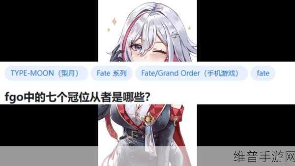 FGO冠位人形师角色深度剖析与高效资源管理攻略