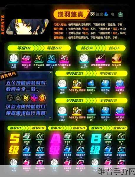 绝区零浅羽悠真驱动盘搭配全攻略，解锁最强战斗力