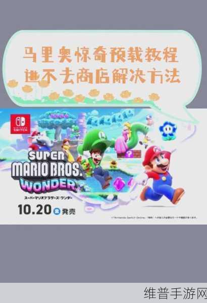 超级马里奥兄弟惊奇全面攻略，解锁无限乐趣的秘籍