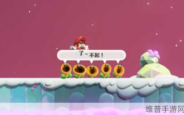 超级马里奥兄弟惊奇全面攻略，解锁无限乐趣的秘籍