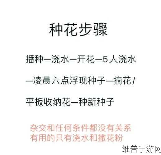 创造与魔法，极速获取合成材料秘籍大公开