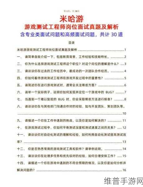 手游界精英攻略，在IT高管面试中脱颖而出的十大秘籍