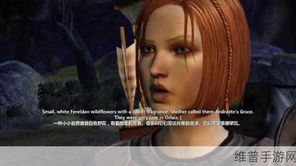 龙腾世纪飞龙纪元第一代深度攻略，揭秘洛根与囧A队内共存删减内容