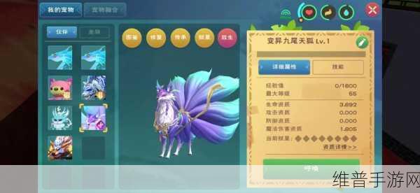 创造与魔法，高伤害宠物大揭秘