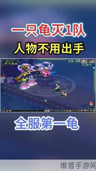 大话西游手游深度攻略，龟丞相全方位解析与加点策略，资质获取全面详解
