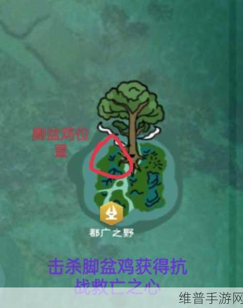 创造与魔法，探寻脚盆鸡的神秘踪迹
