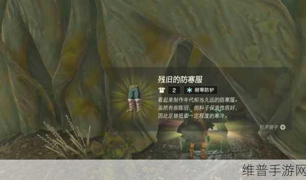 塞尔达传说王国之泪手游攻略，轻松获取残旧的防寒服
