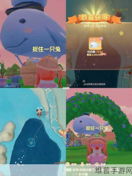 摩尔庄园手游白鲸垂钓秘籍，解锁最简单钓法攻略