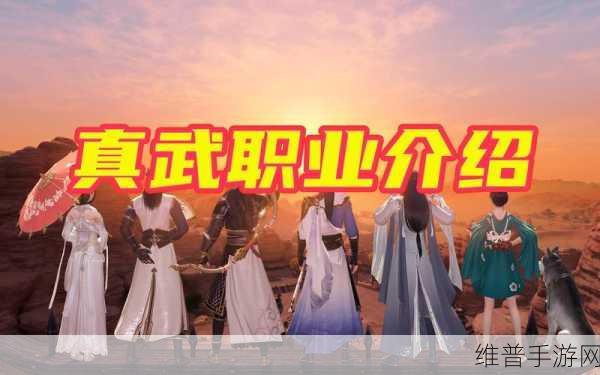 天涯明月刀手游2024年职业转职教程及最新进展消息全面解析