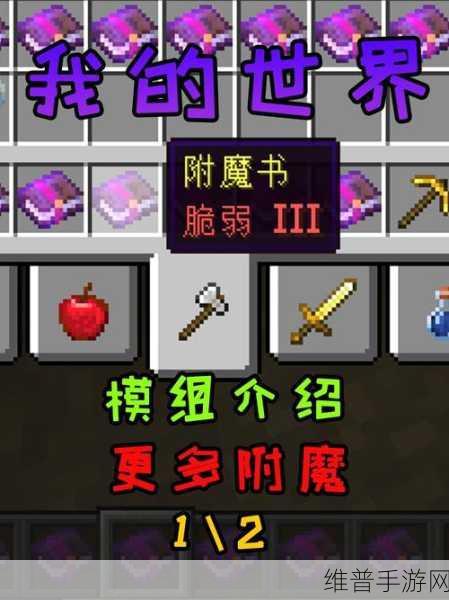 深入探究恶意不息双匕流套装附魔之谜