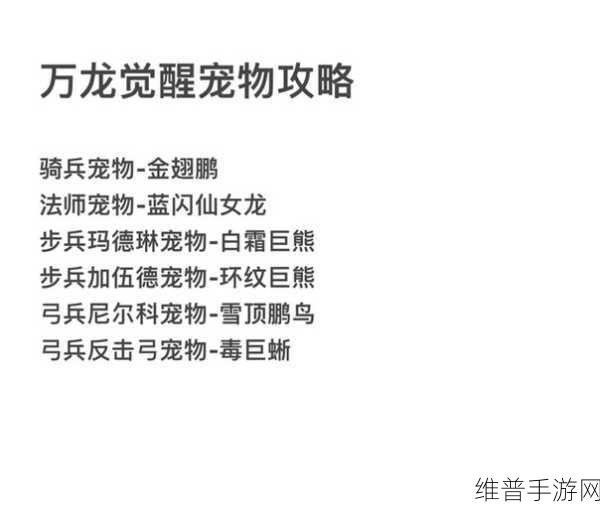 万龙觉醒蓝闪仙女龙深度培养指南，解锁法术战宠的极致潜力