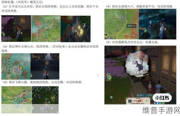 剑网 3话玄虚宠物奇遇全攻略指南