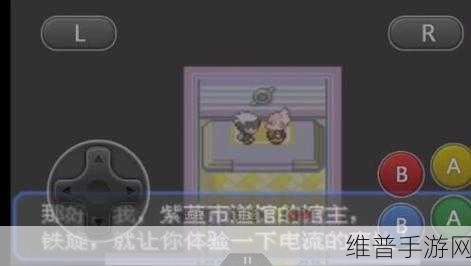 口袋妖怪究极绿宝石5,炎兔儿全面培养攻略