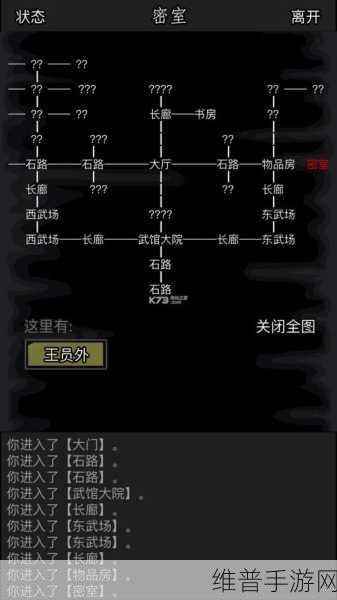 放置江湖深度攻略,丹匮玄功的妙用与详解