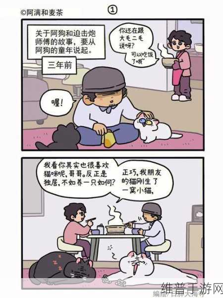 我的喵会功夫技能抉择指南，让你的喵称霸武林