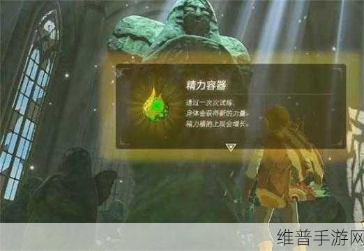 塞尔达传说王国之泪滑翔伞获取全攻略