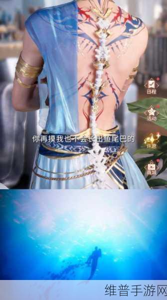 妄想山海美人鱼侍从，全面且详细的养成攻略