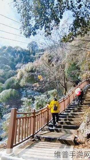 原神纸映成戏越岭全攻略,解锁越岭一二三场挑战秘籍