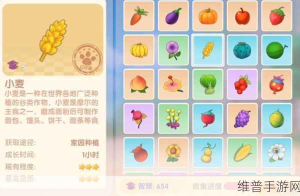 摩尔庄园手游，厨师玩法全方位指南