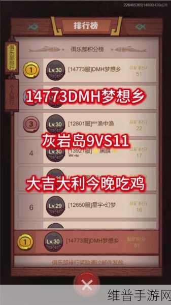 咸鱼之王进阶攻略，解决进阶石短缺的难题