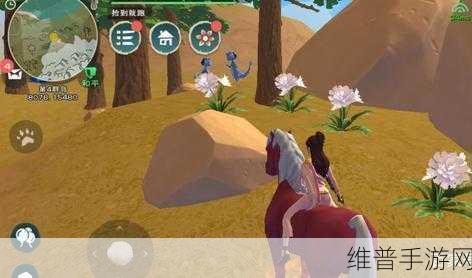 创造与魔法新地图白花寻觅指南，解锁染色与生命恢复的秘密